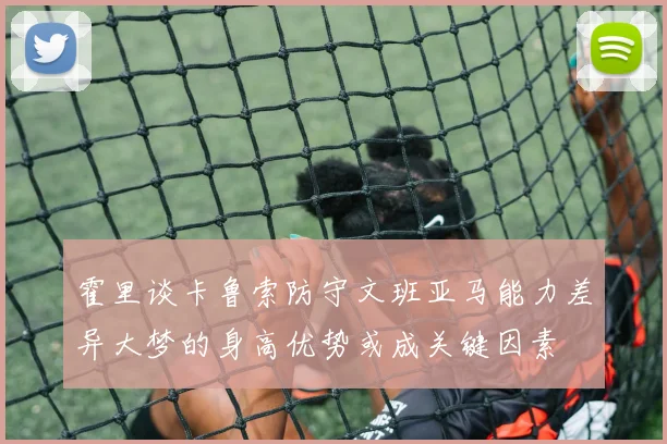 霍里谈卡鲁索防守文班亚马能力差异大梦的身高优势或成关键因素