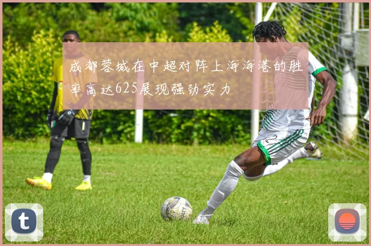 成都蓉城在中超对阵上海海港的胜率高达625展现强劲实力