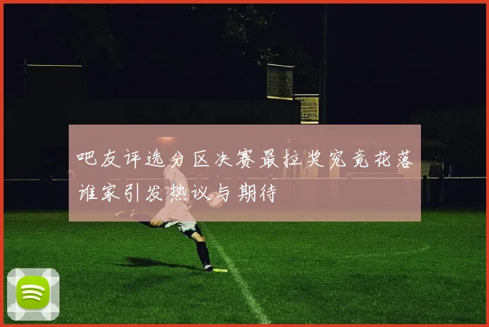 吧友评选分区决赛最拉奖究竟花落谁家引发热议与期待